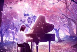 唯美视频,唯美视频中的诗意画卷